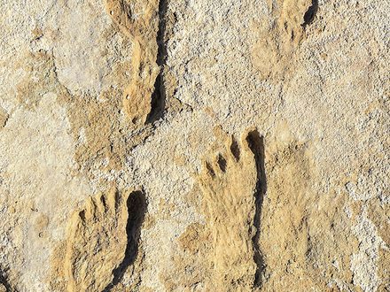 Americké stopy v&nbsp;čase